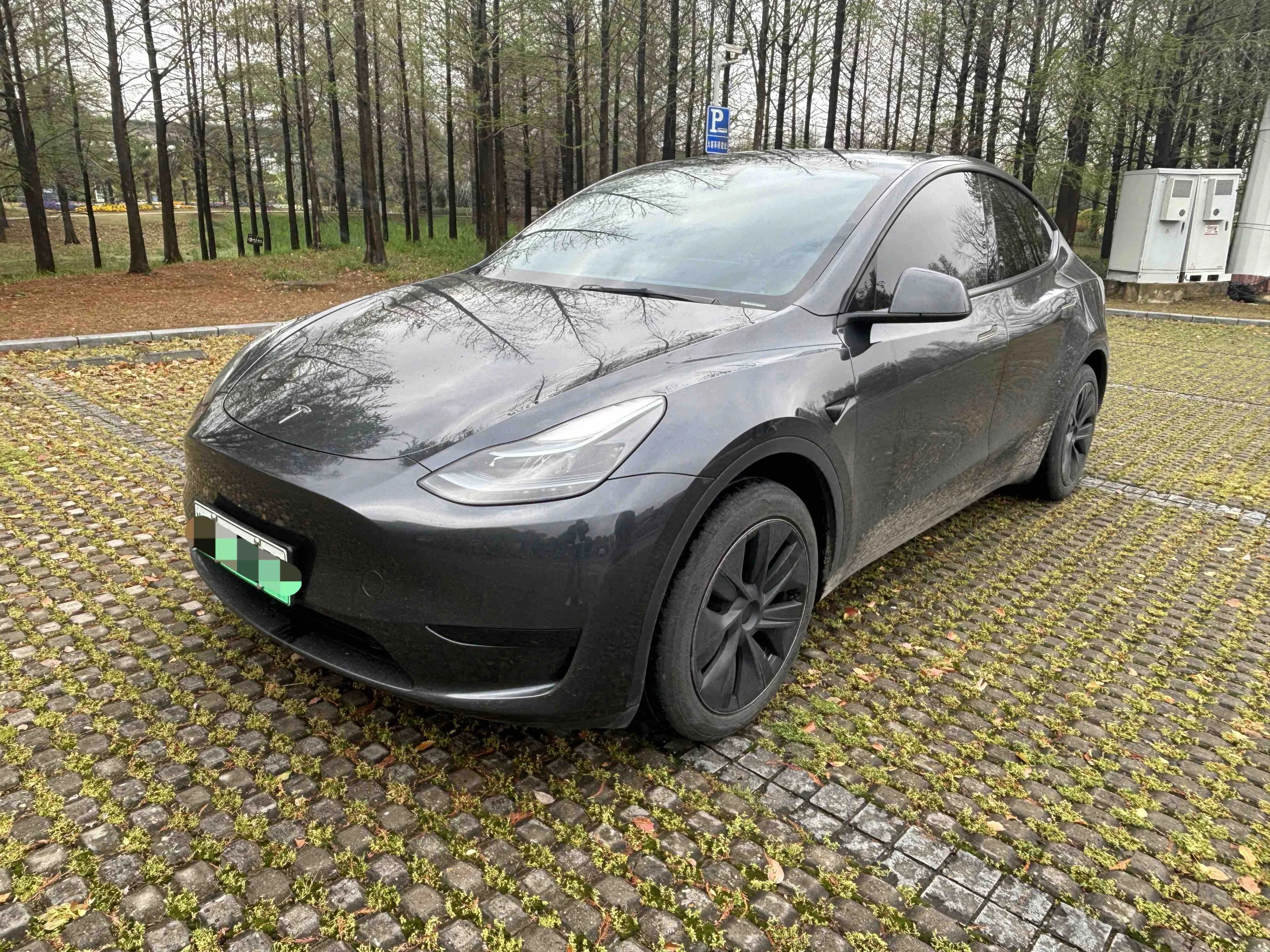 Tesla Model Y 2024款 后轮驱动版