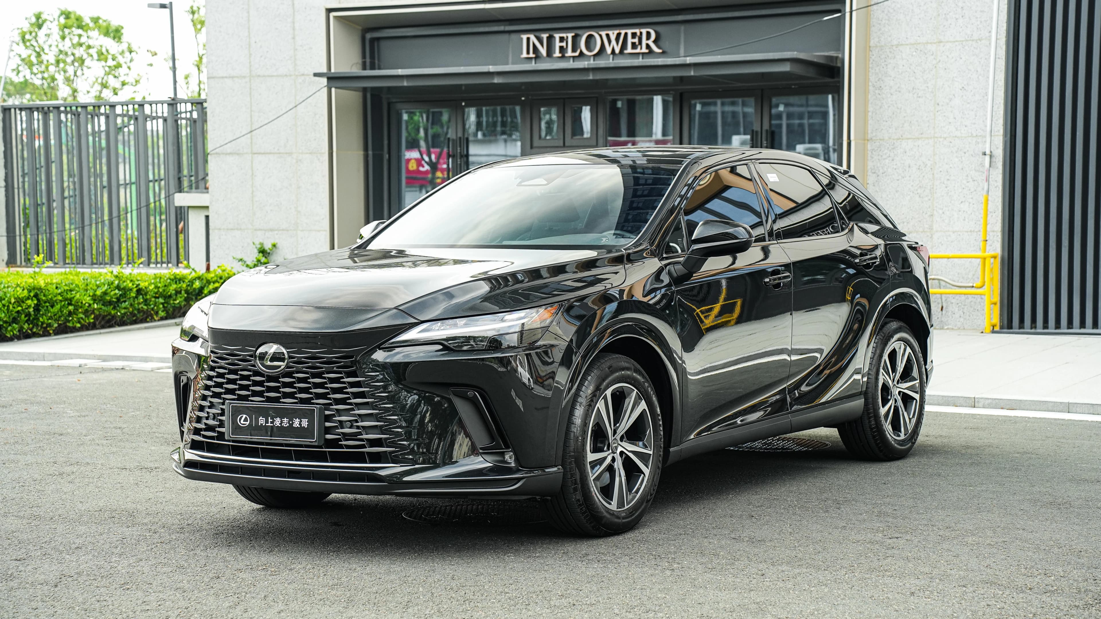 Lexus RX 2025 300 AWDJunxiang
