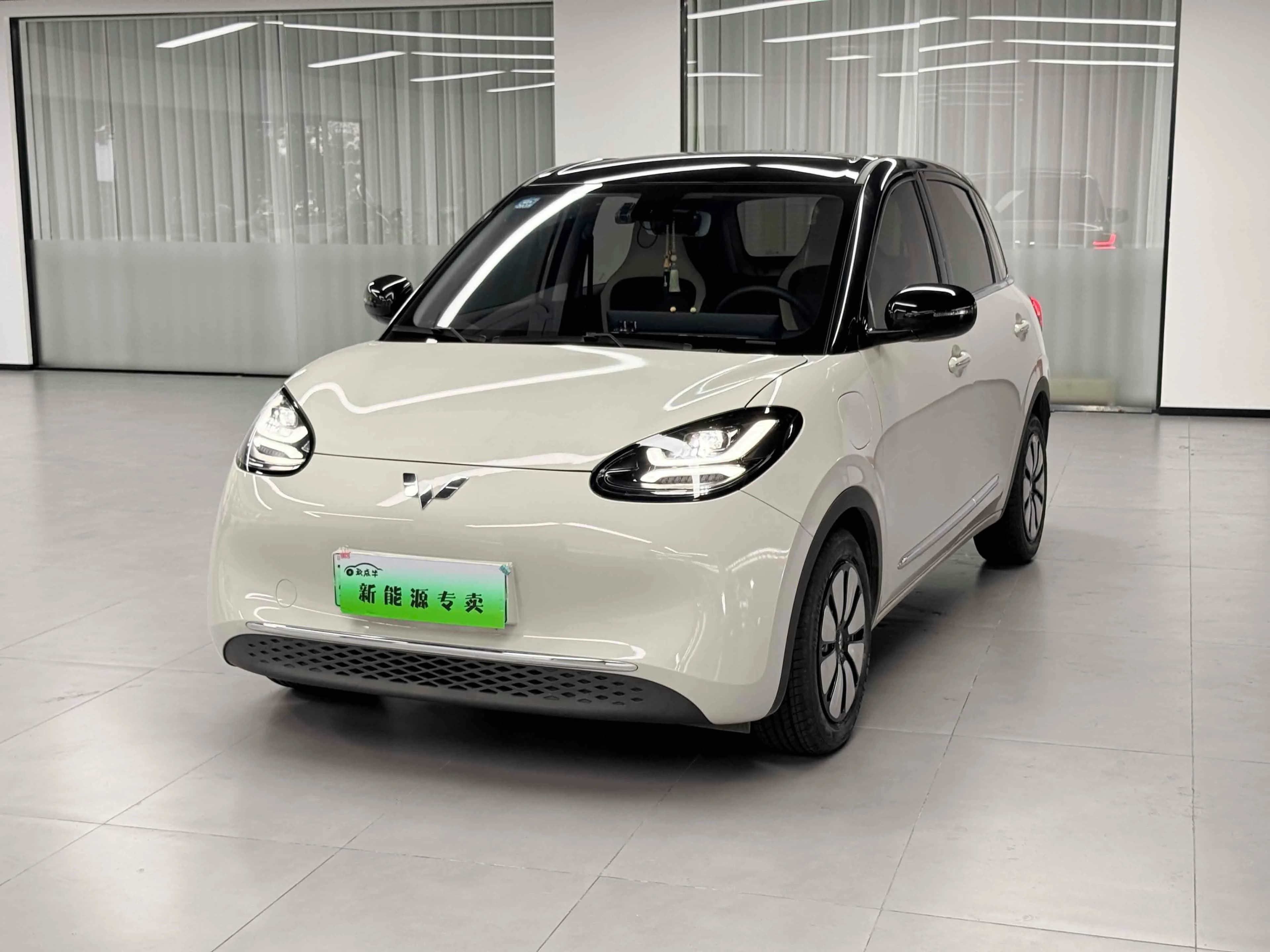 五菱汽车 五菱汽车五菱缤果 2023款 333km 悦享款