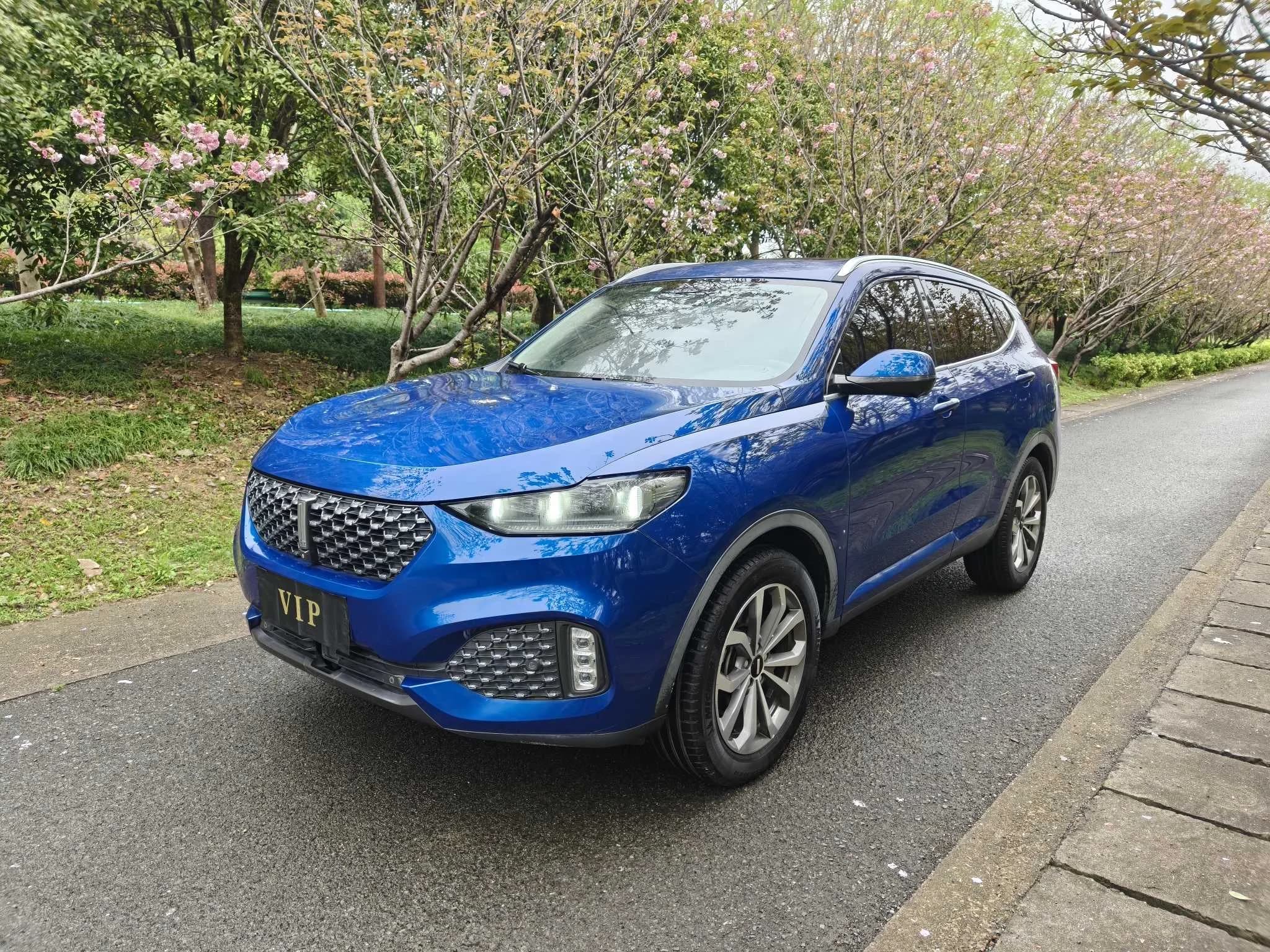 WEY VV6 2020 WEY VV6 2.0T 2WD+ Intelligent Protection