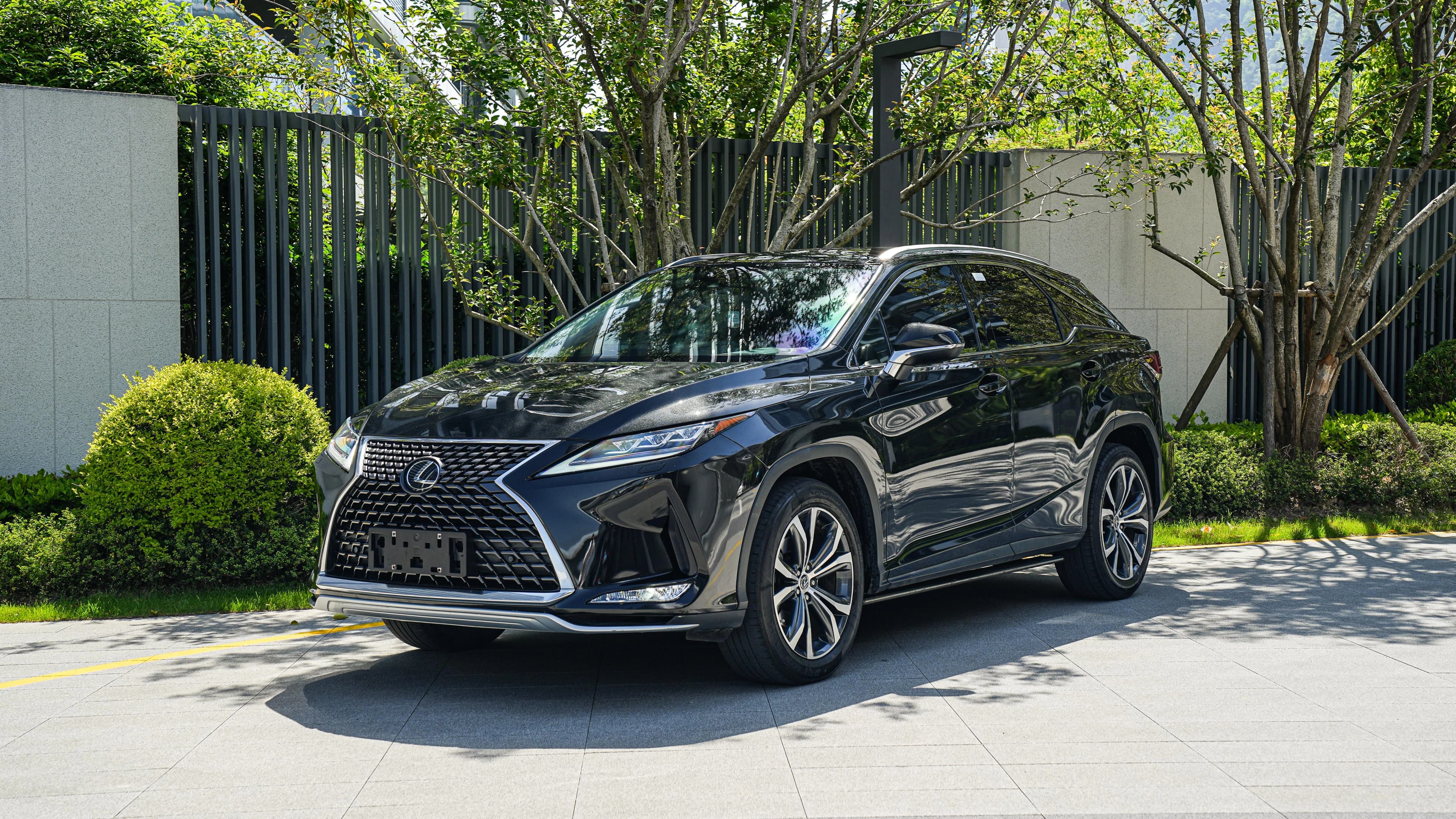 Lexus RX 2020 300 AWDClassic Elegance