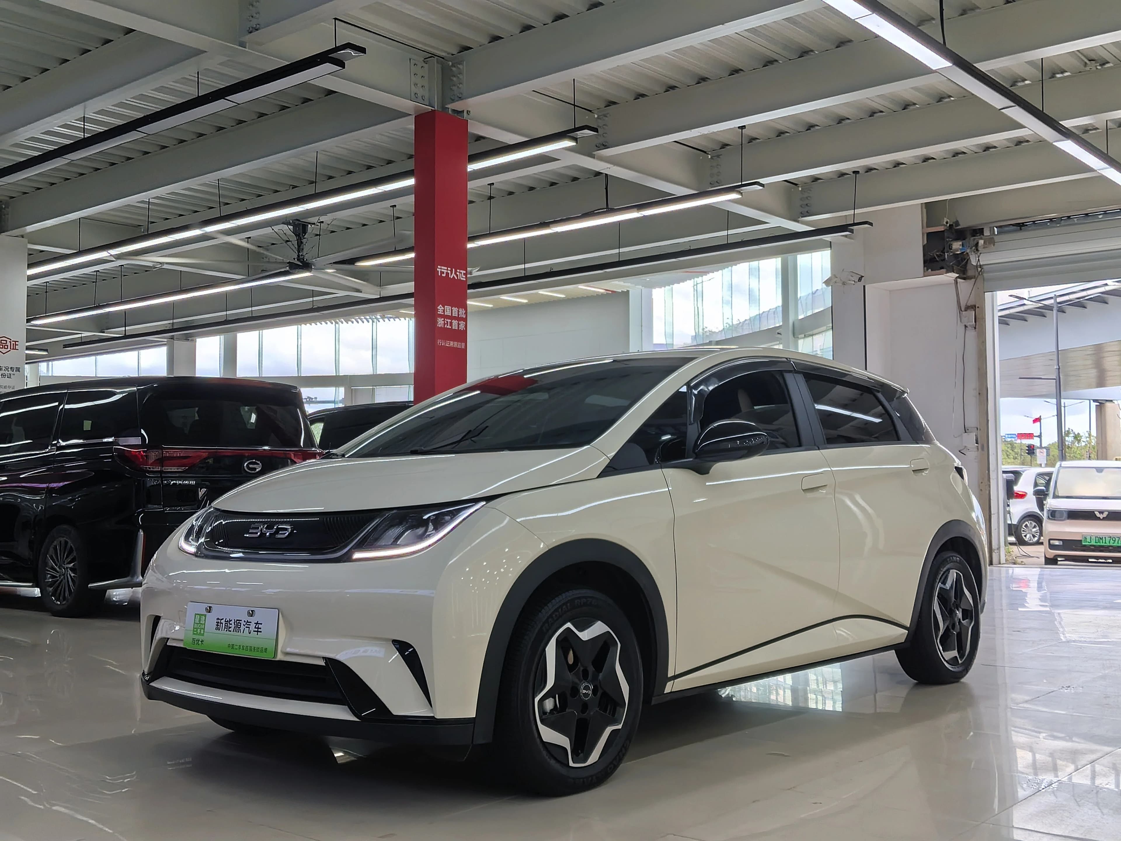 BYD Dolphin 2025 420km Vitality