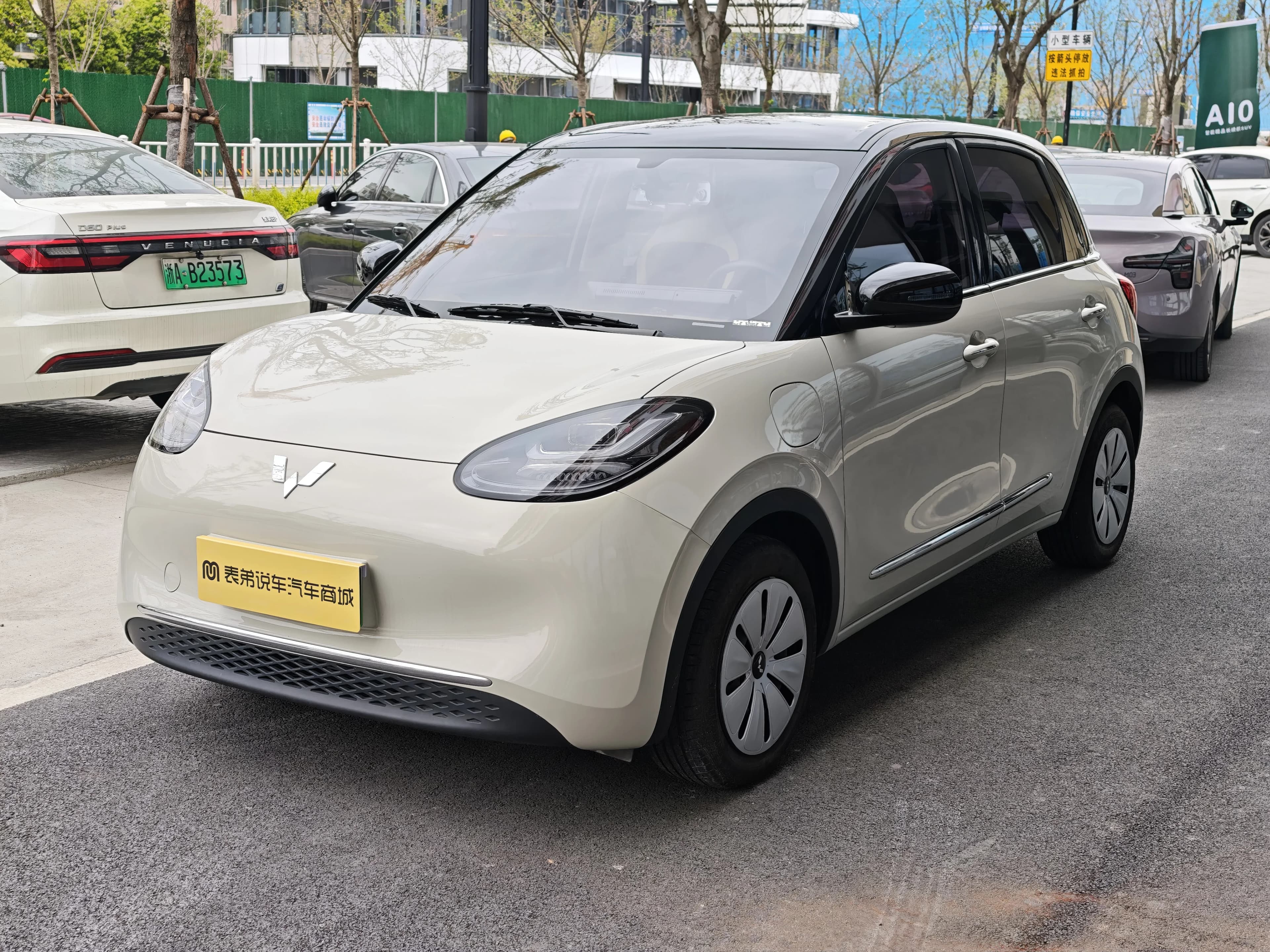 五菱汽车 五菱缤果 2024款 333km 悦享款