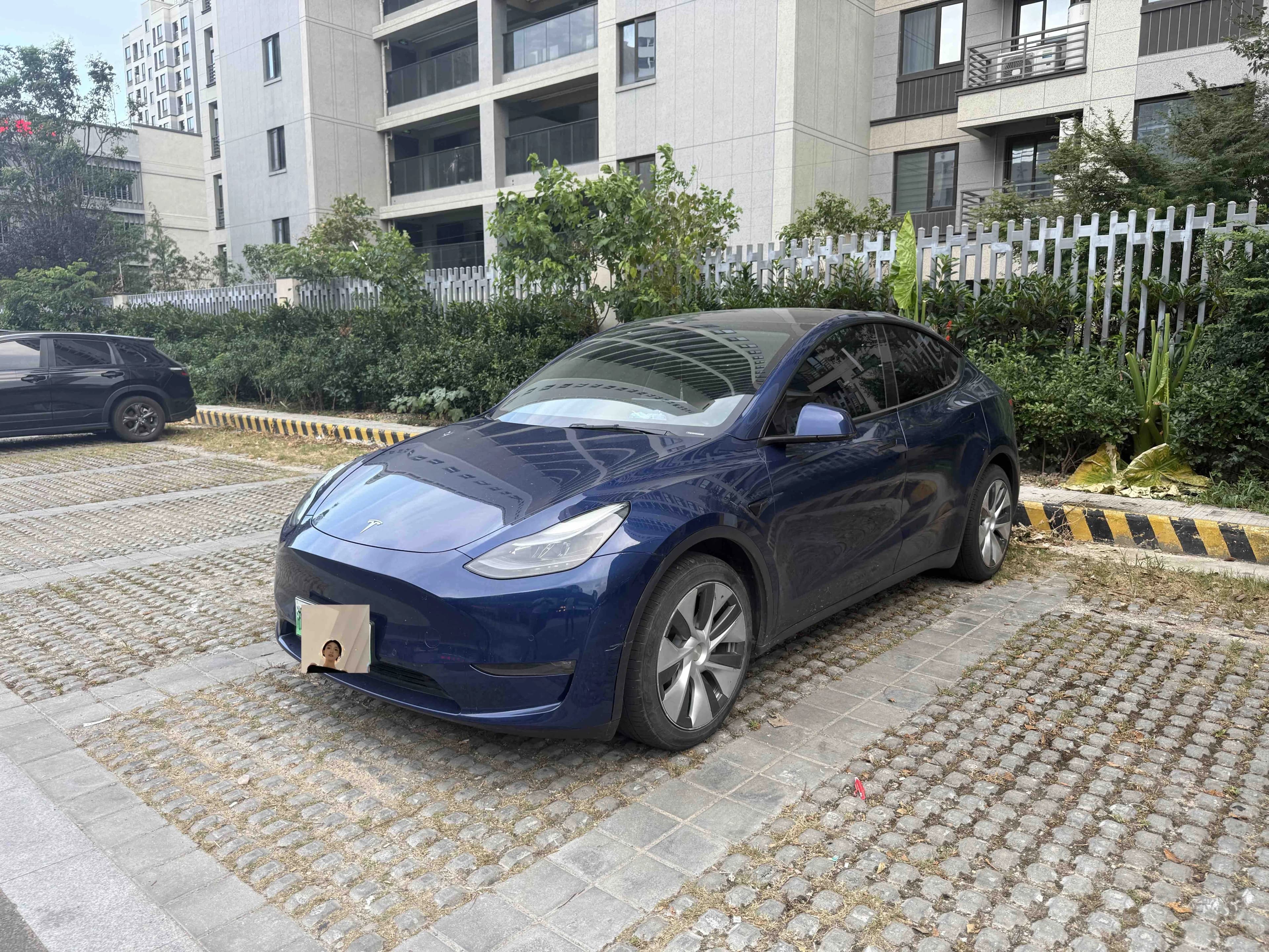 Tesla Model Y 2021 Std Range RWD
