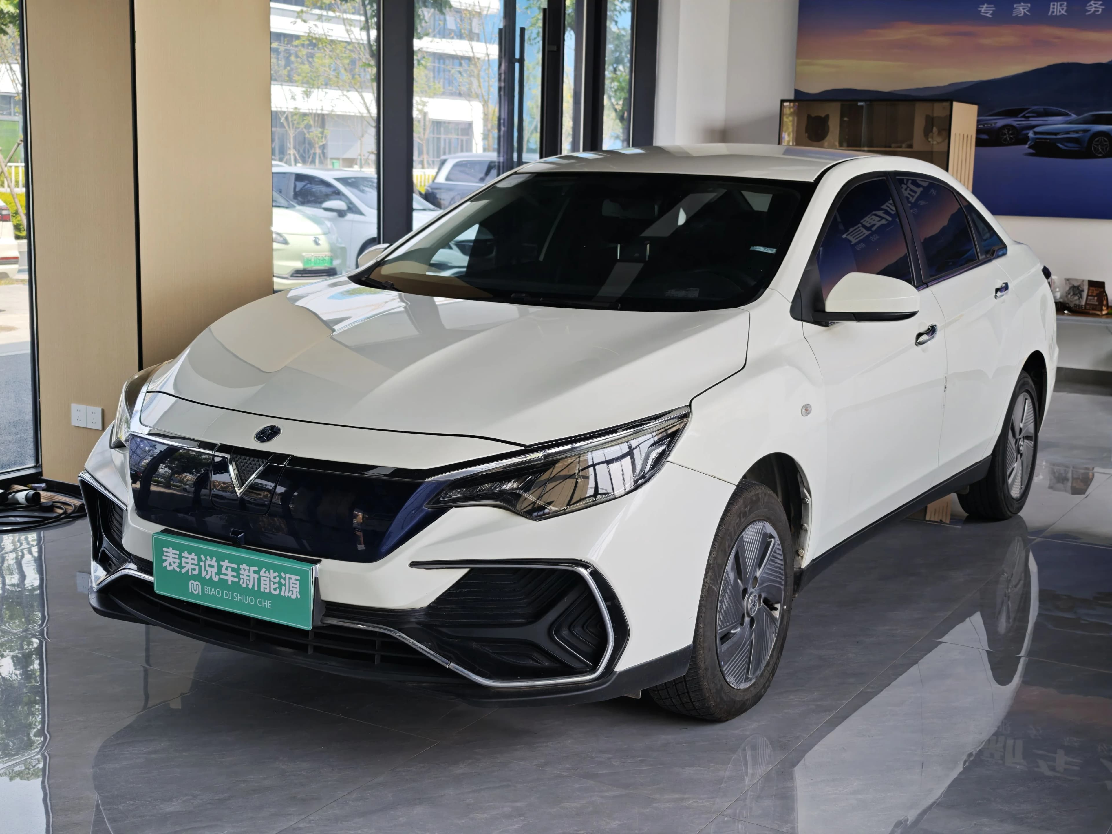 Venucia D60EV 2023 PLUS ComfortRJType