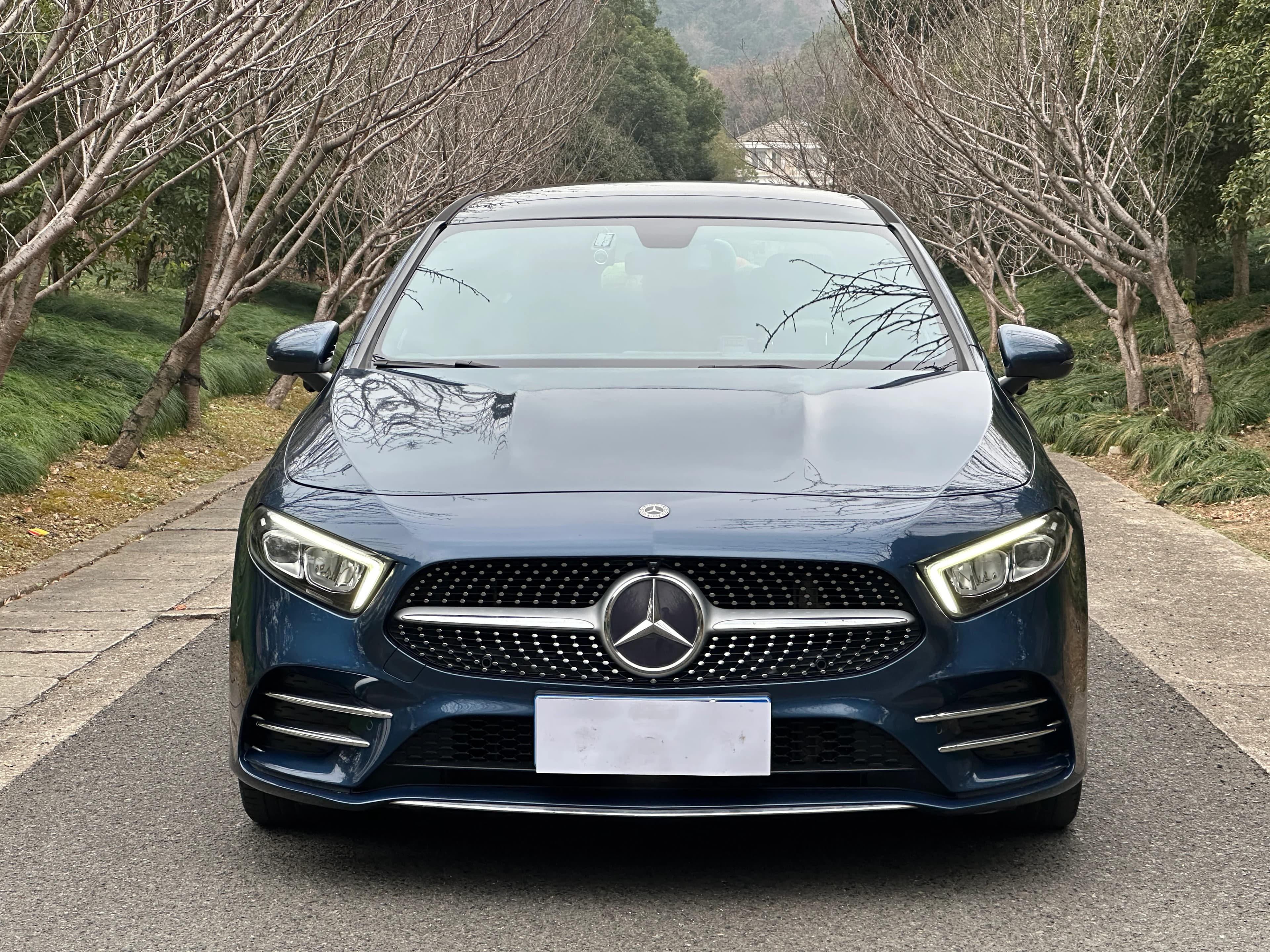 Mercedes-Benz A-Class 2019 A-Class A 200 L
