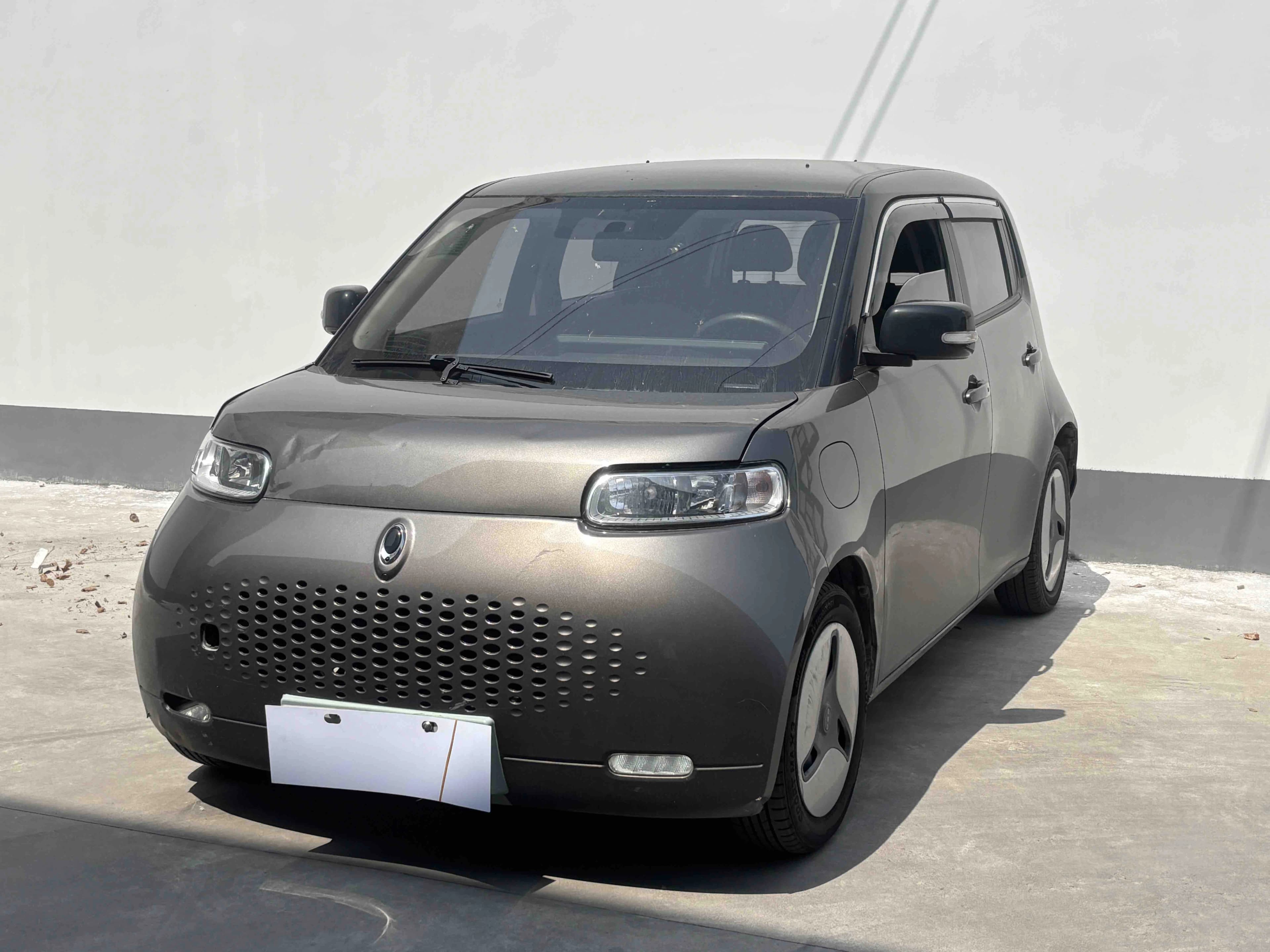 ORA White Cat 2020 360km Luxury