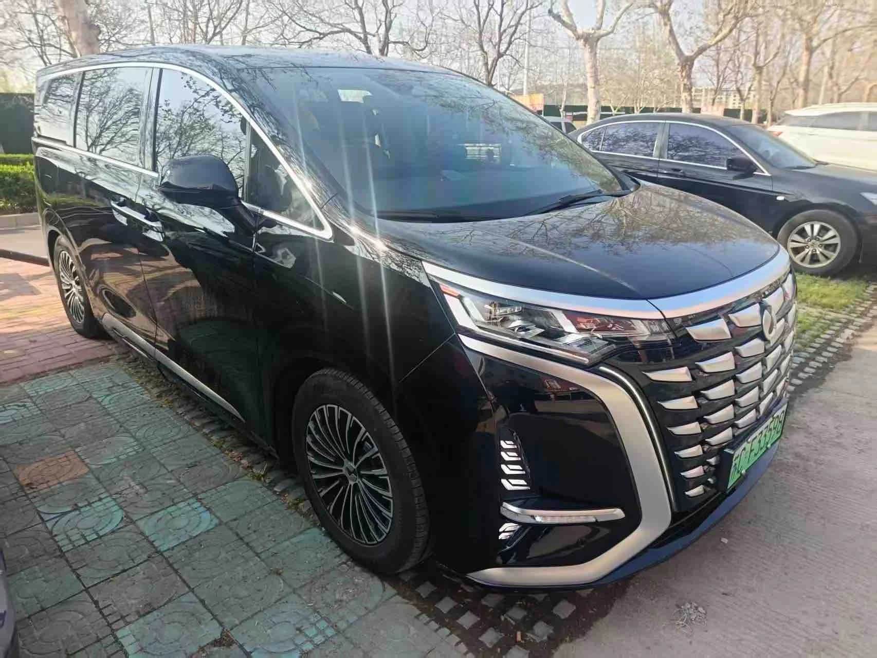 Denza D9 2024款 DM-i 980 四驱尊贵型