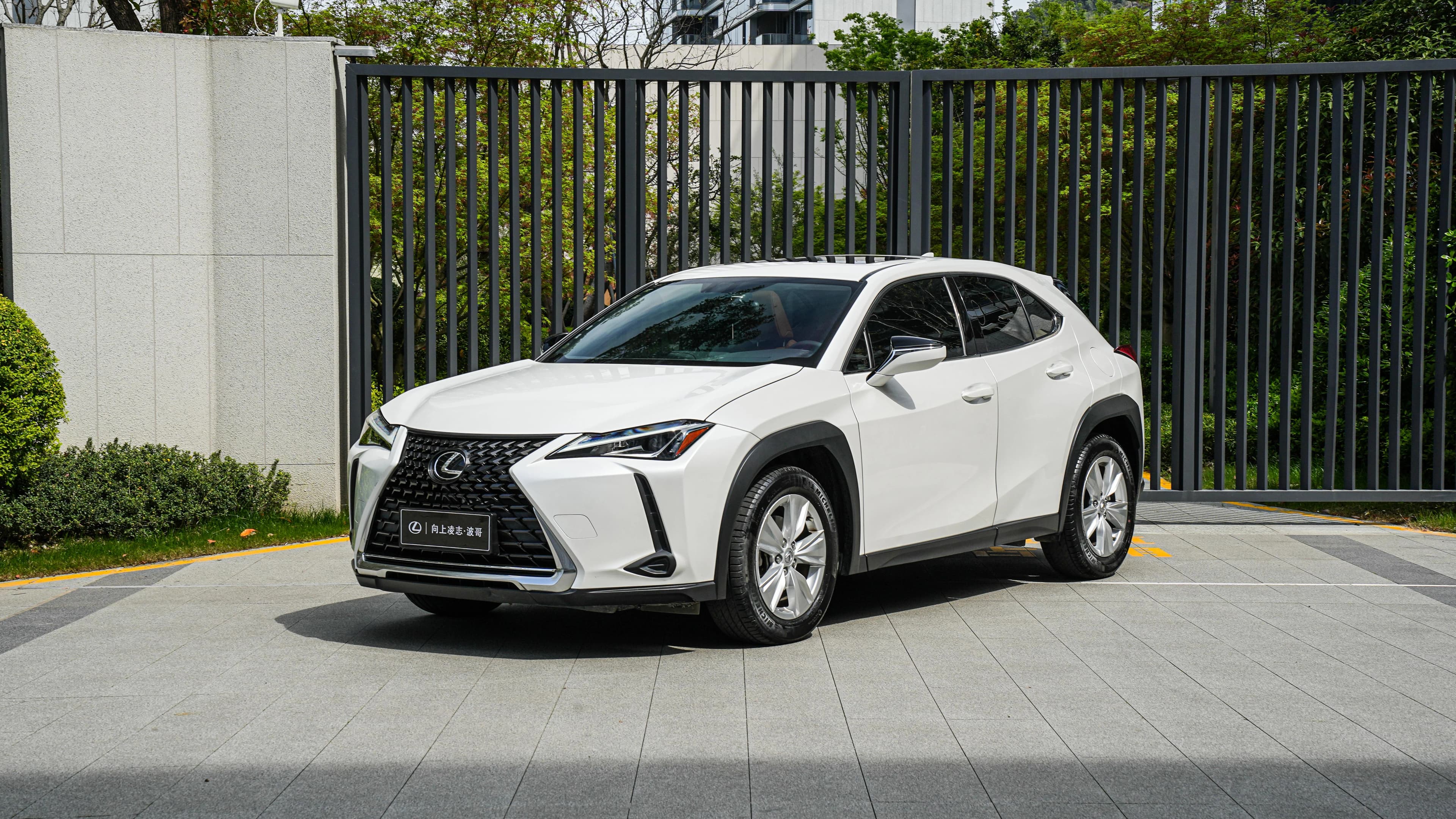 Lexus UX 2020款 200 特别版