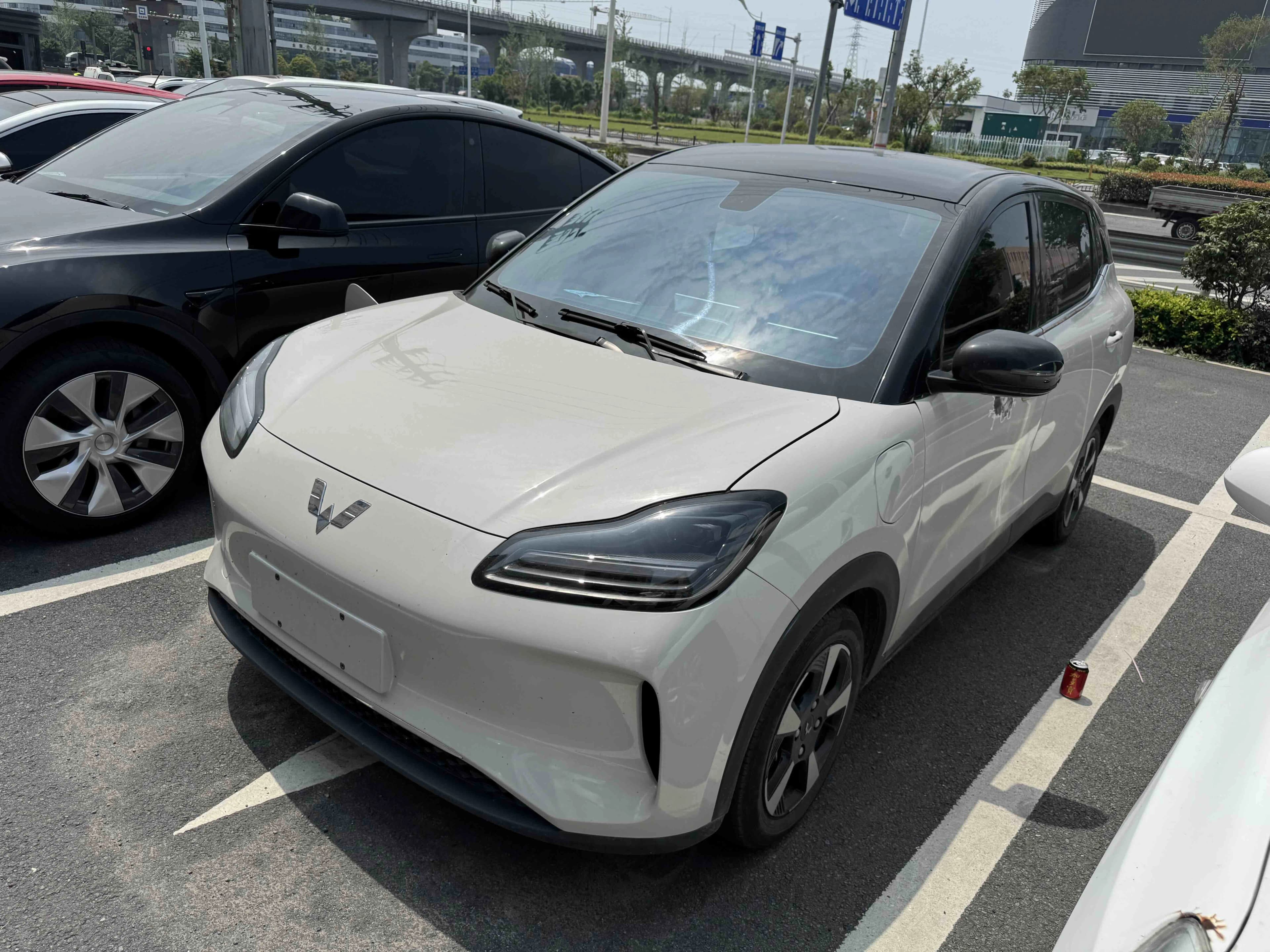 五菱汽车 五菱缤果PLUS 2024款 330km 五座版
