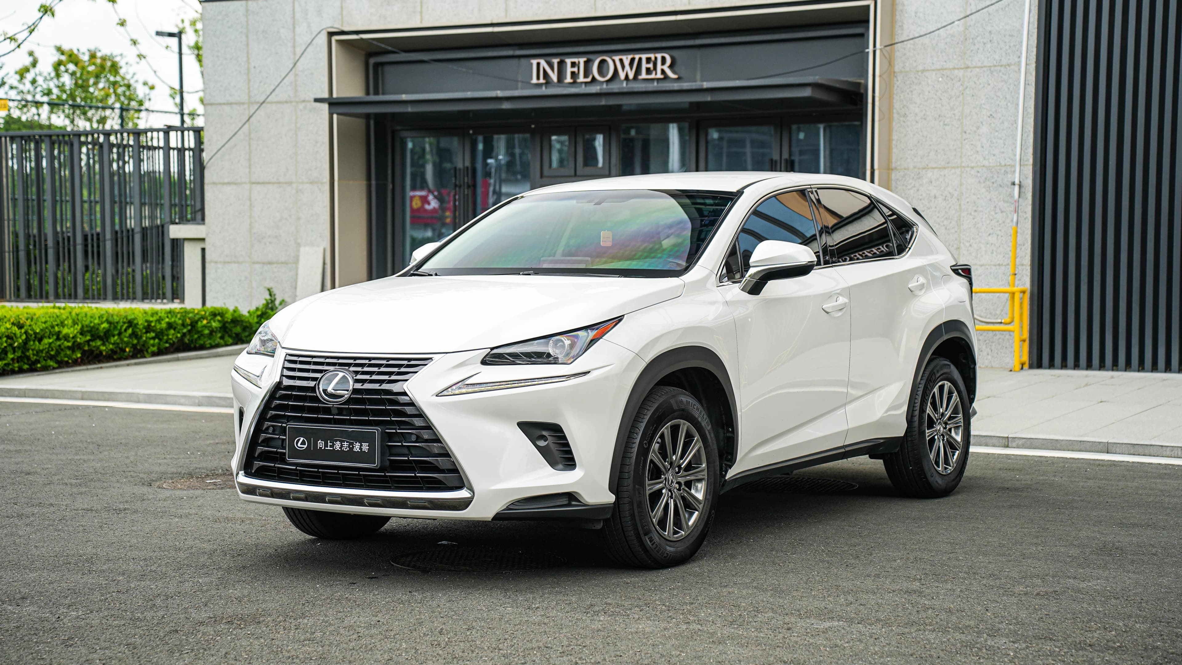 Lexus NX 2017 300 FWD Fengxing