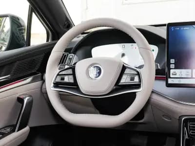 BYD Tang DM-i 2025 115KMFlagship 20