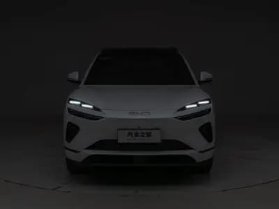 بي واي دي Sea Lion 06 2025 10