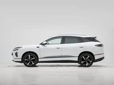 بي واي دي Sea Lion 06 2025 4