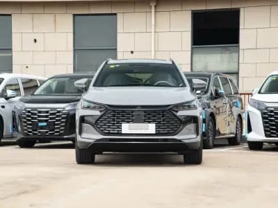 BYD Tang DM-i 2025 115KMPremium 10