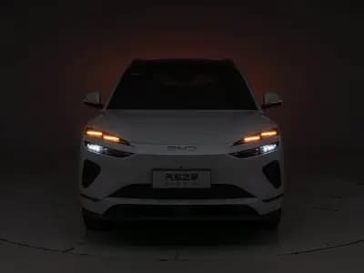 بي واي دي Sea Lion 06 2025 9