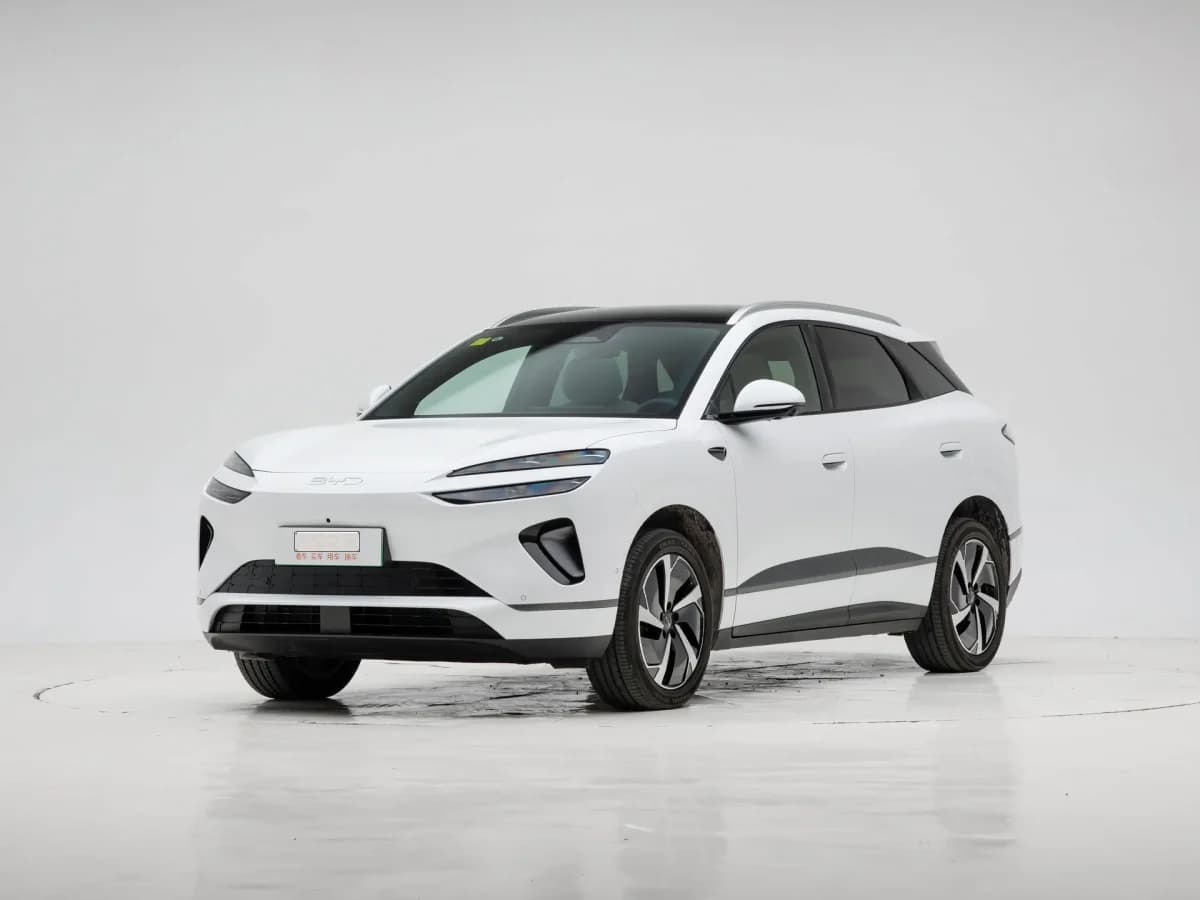 بي واي دي Sea Lion 06 2025