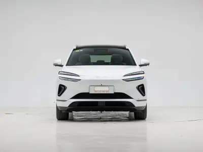 بي واي دي Sea Lion 06 2025 2