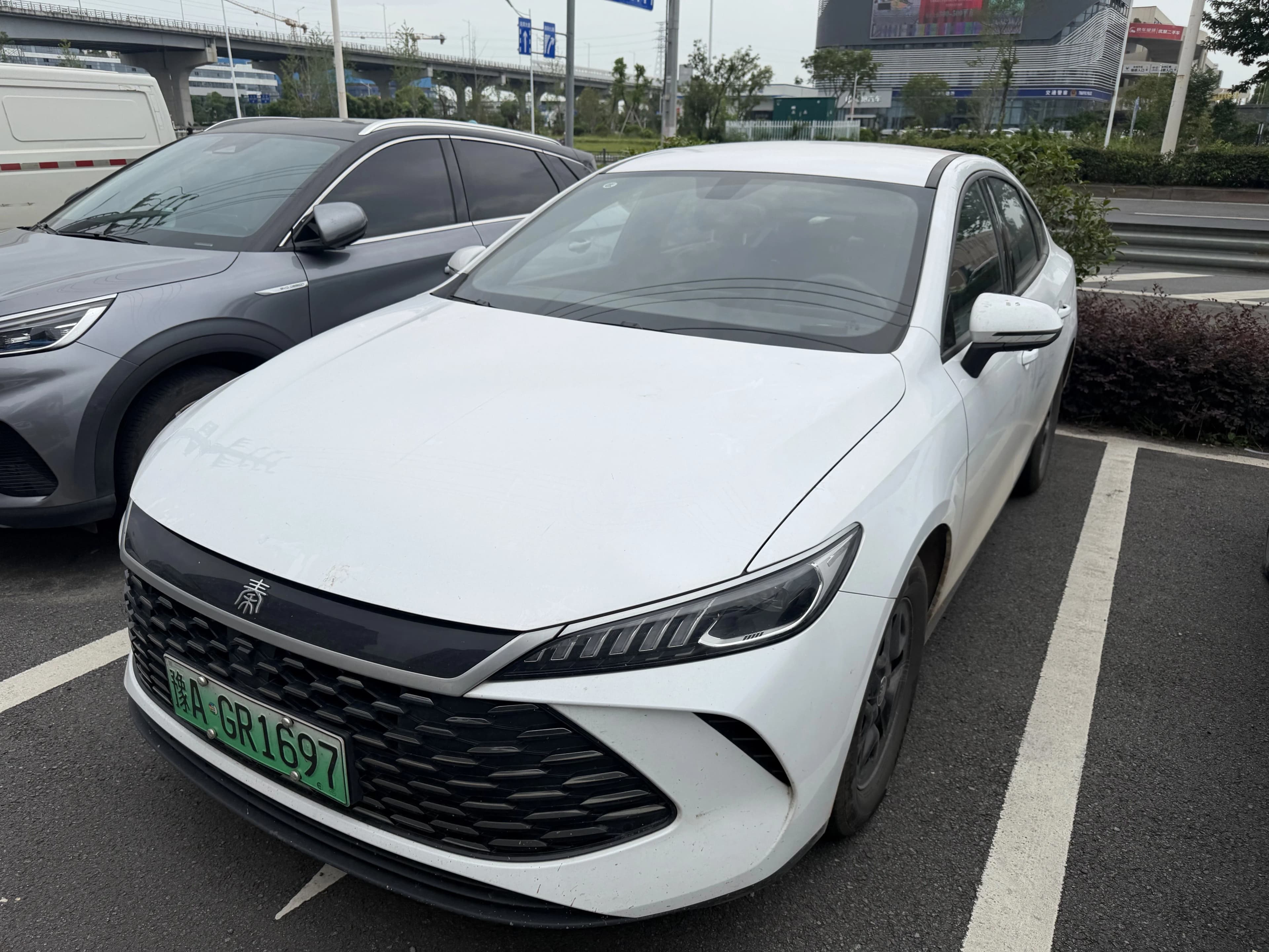 BYD Qin Plus 2025 DM-i Smart Drive 55KMLeading