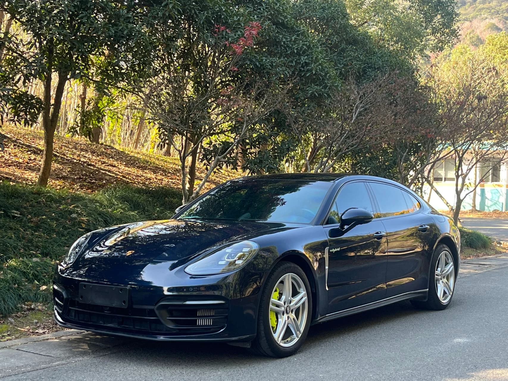 Porsche Panamera 2021 PanameraNEV Panamera 4 E-Hybrid Ed 2.9T