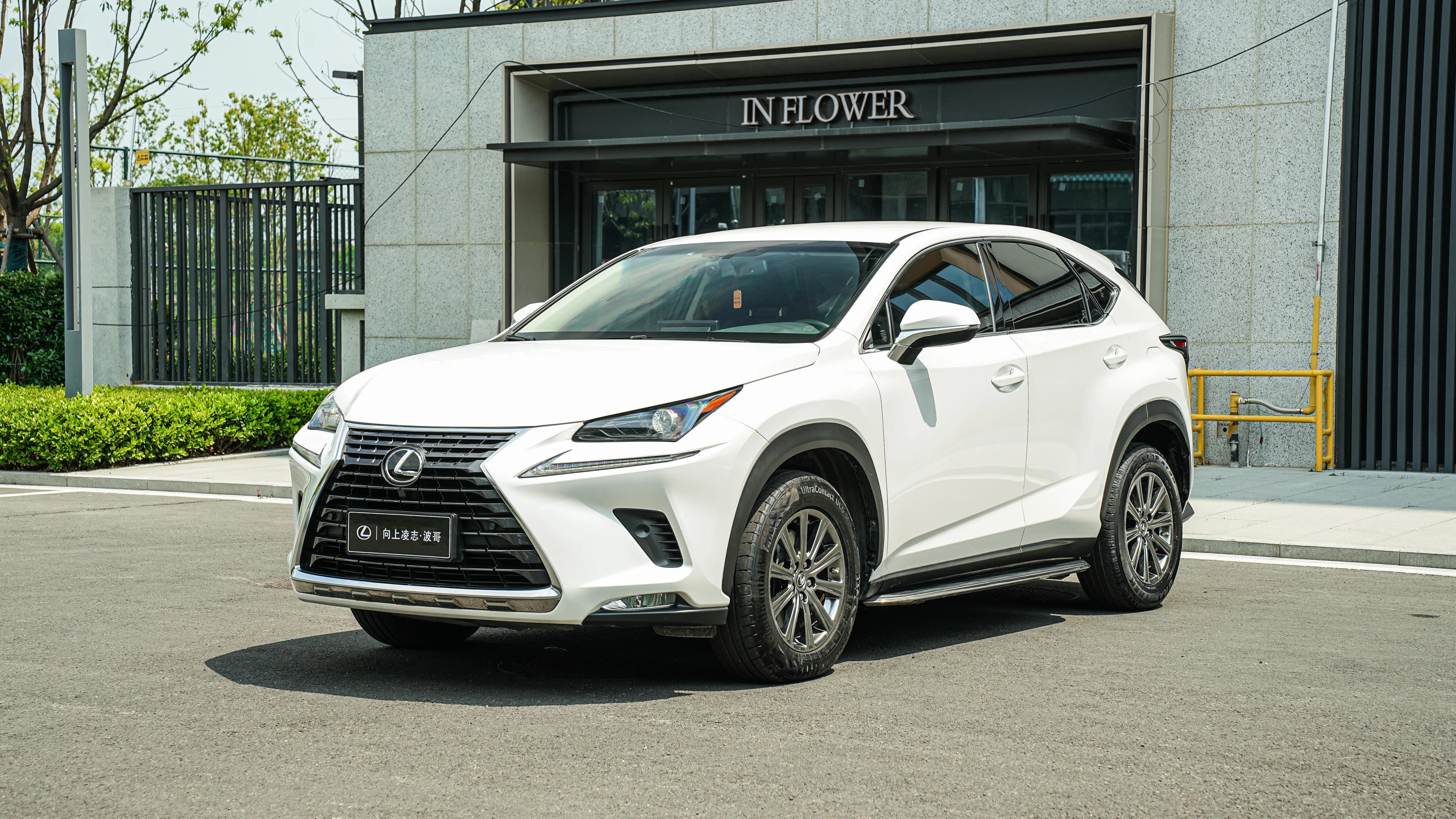 Lexus NX 2018 300 FWD Fengxing