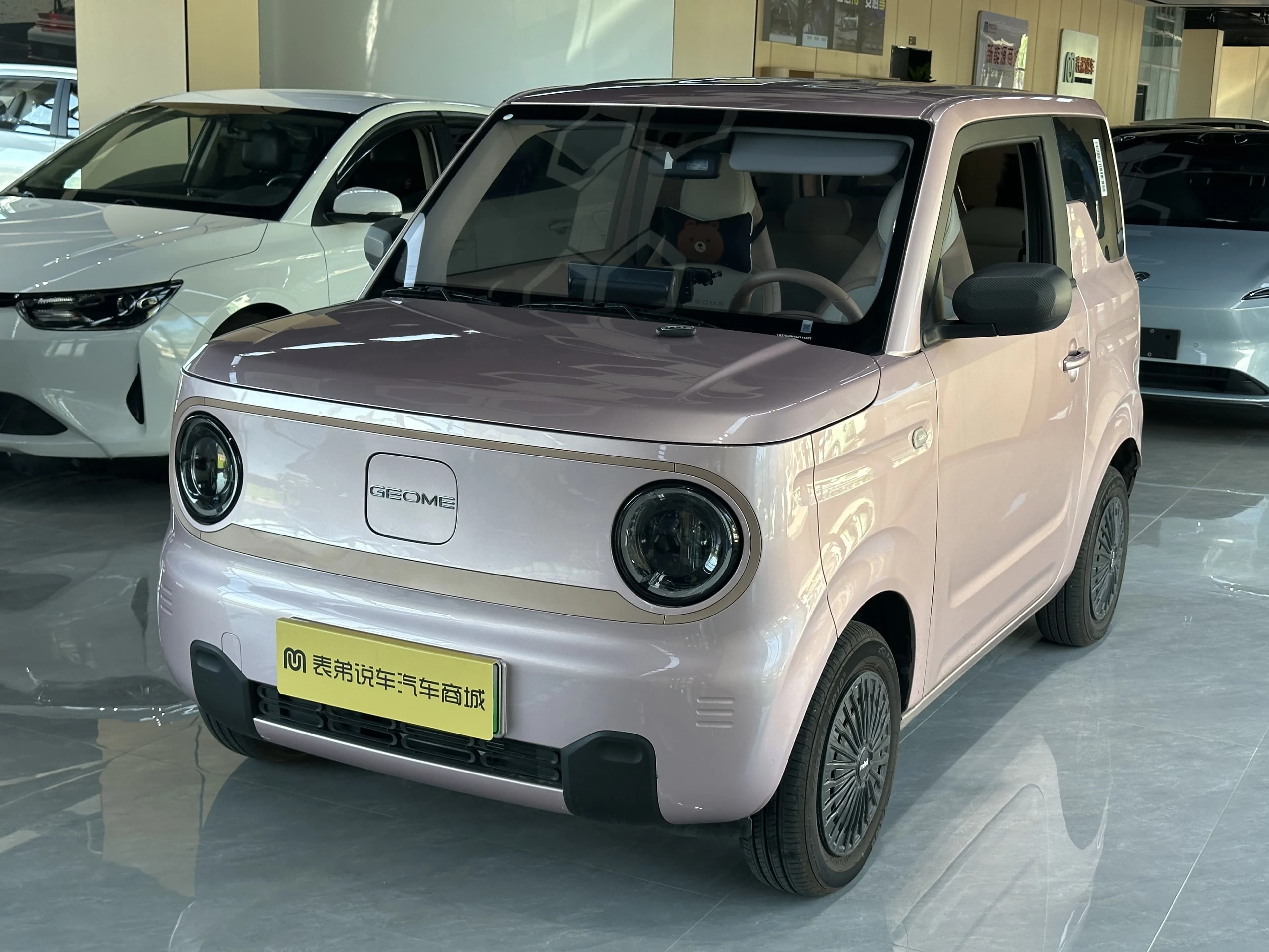 Geely Panda 2024 mini 200km Endurance Bear