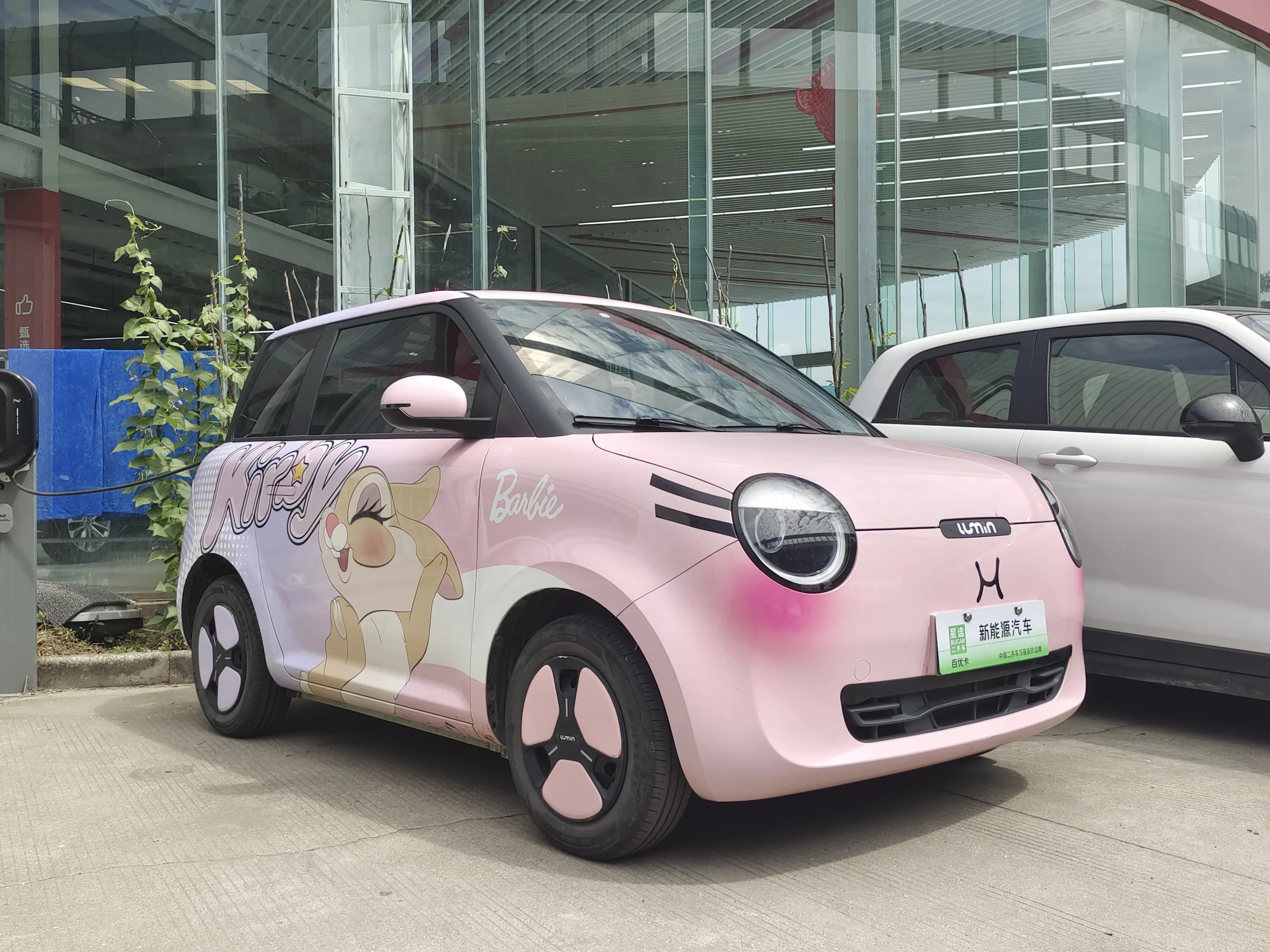 Qiyuan 长安LUMIN 2022 210km Sweet