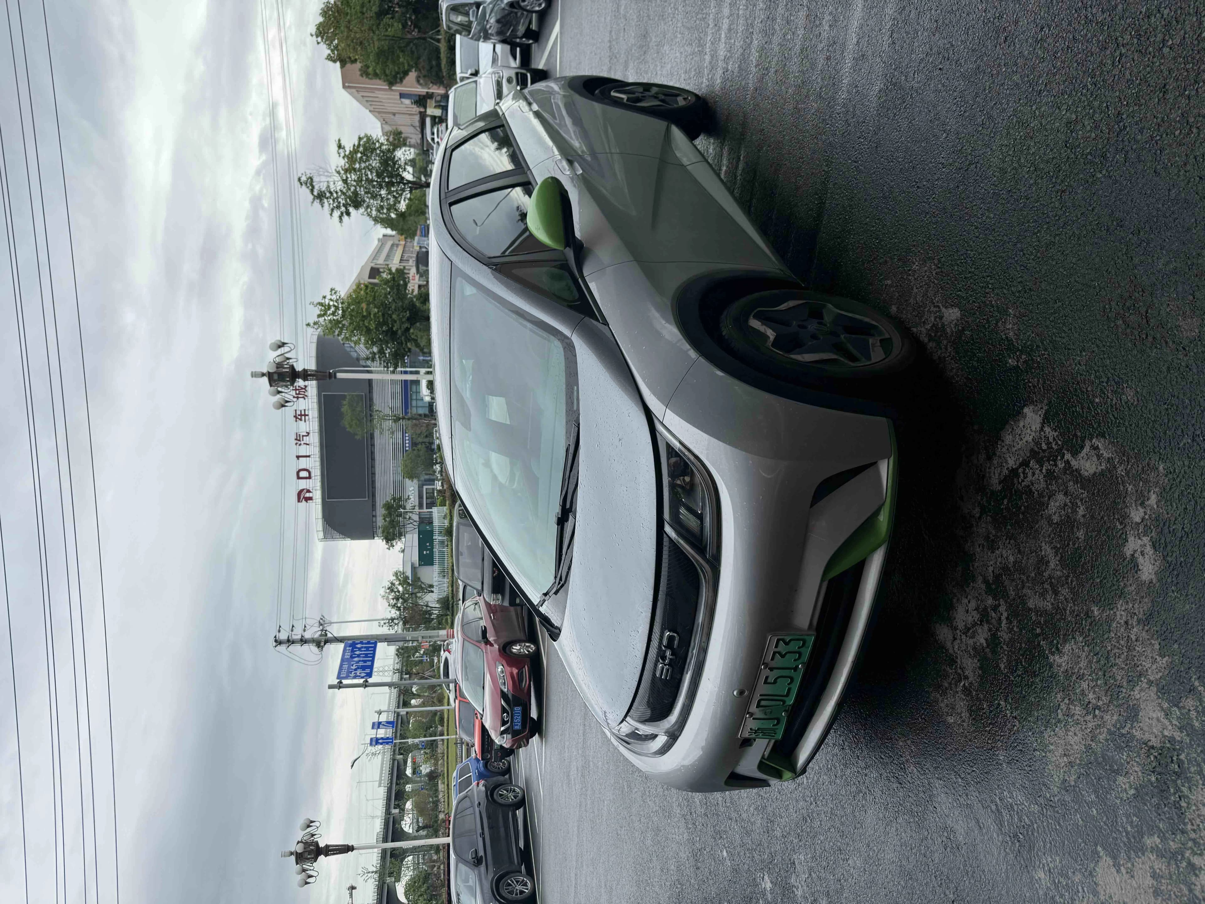 BYD Dolphin 2021 405km Fashion