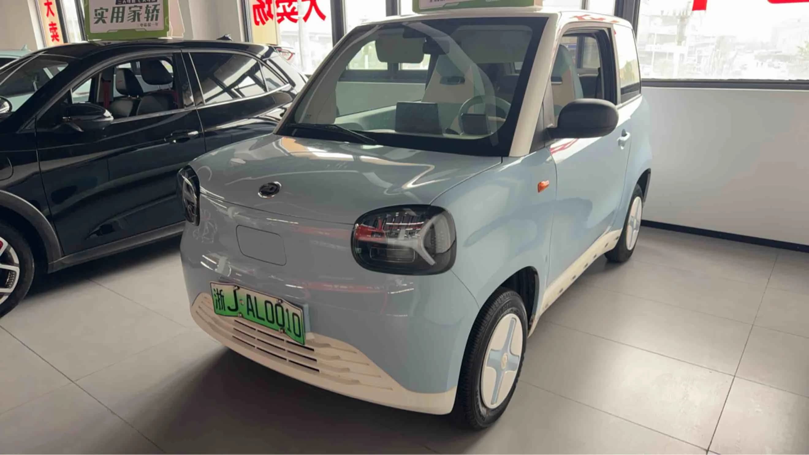 Zhidou Rainbow 2024 Ed