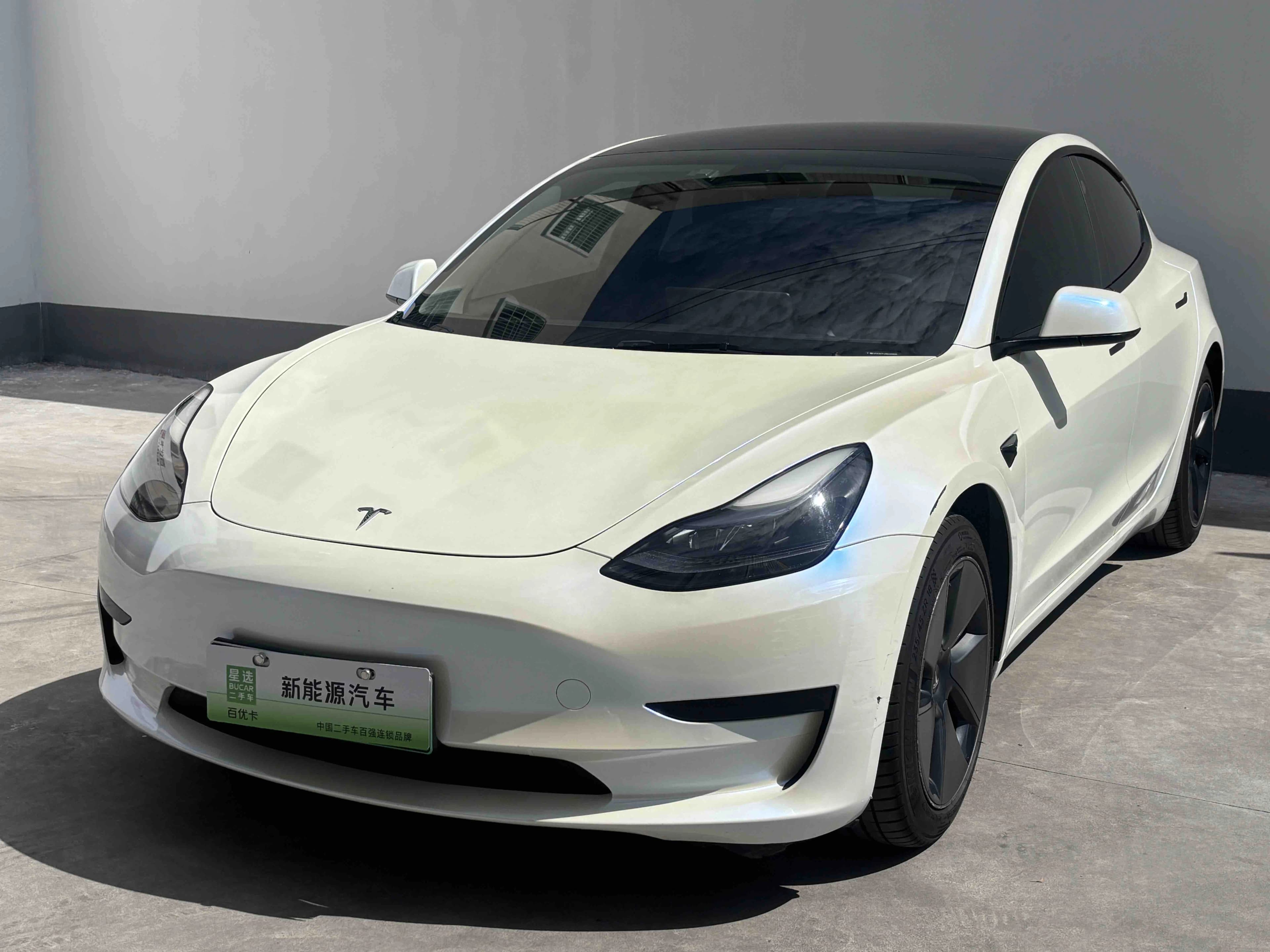 Tesla Model 3 2021 Std Range RWD Plus 3D6