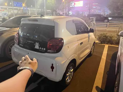 Roewe 科莱威CLEVER 2022 311kmYuanqi Bobo