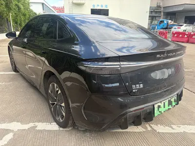 比亚迪 海豹 2023款 冠军版 550km 精英型 thumbnail 7