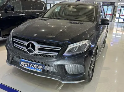 Mercedes-Benz GLE(进口) 2018 GLE-Class GLE 320 4MATIC Sport thumbnail 3