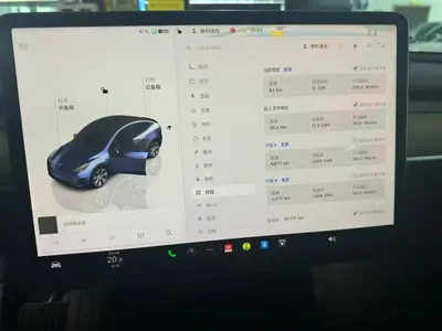 特斯拉 Model Y 2022款 长续航全轮驱动版 thumbnail 6