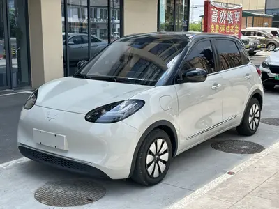 五菱汽车 五菱缤果 2024款 333km 灵犀互联款 thumbnail 2
