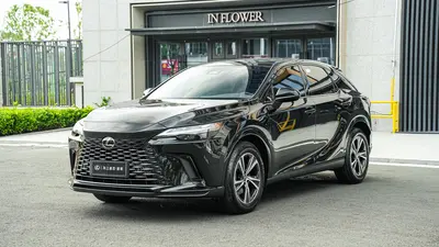 雷克萨斯 RX 2025款 300 四驱骏享版 thumbnail 2