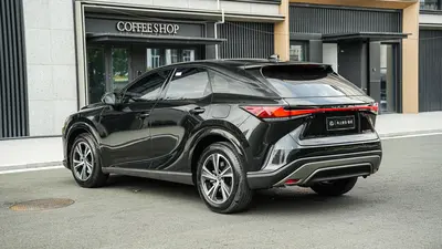 雷克萨斯 RX 2025款 300 四驱骏享版 thumbnail 7