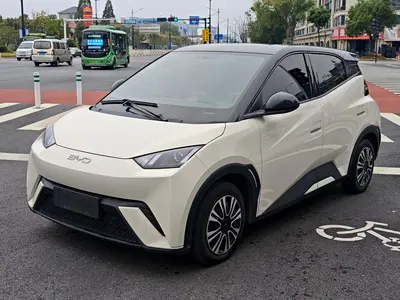 BYD Seagull 2024 Honor 305km Free thumbnail 2