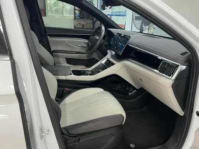 比亚迪 宋PLUS新能源 2025款 EV 520km 豪华型 thumbnail 10