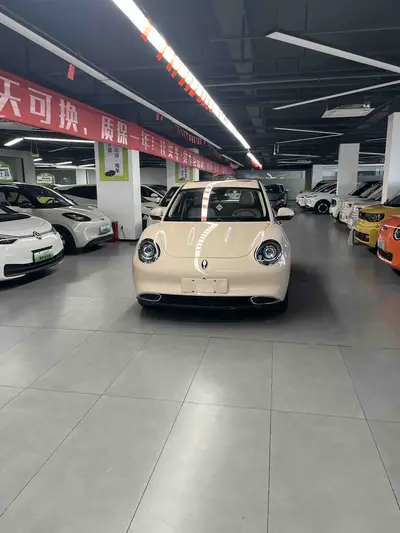 欧拉 好猫 2024款 401km 豪华型 thumbnail 1