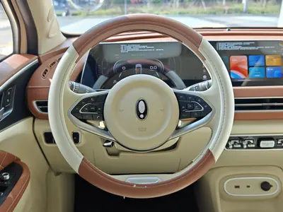 欧拉 好猫 2024款 401km 豪华型 thumbnail 13