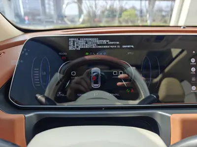 欧拉 好猫 2024款 401km 豪华型 thumbnail 14