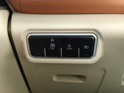 欧拉 好猫 2024款 401km 豪华型 thumbnail 15