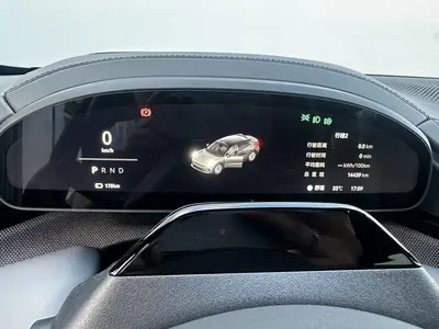 极氪 001 2025款 WE版 100kWh 后驱 thumbnail 9