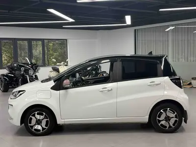 思皓 花仙子 2023款 301km 满天星 36kW thumbnail 5