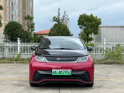 比亚迪 海豚 2023款 50万纪念版Plus thumbnail 3