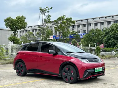 比亚迪 海豚 2023款 50万纪念版Plus thumbnail 4