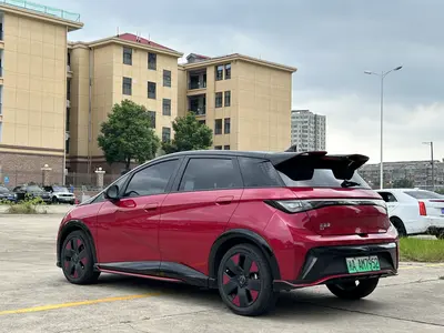 比亚迪 海豚 2023款 50万纪念版Plus thumbnail 12