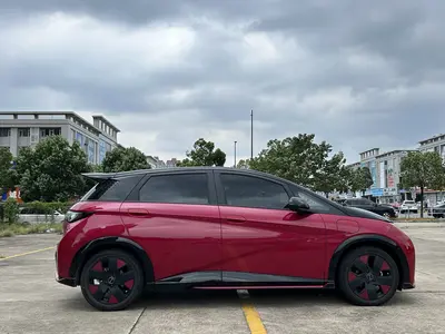 比亚迪 海豚 2023款 50万纪念版Plus thumbnail 15