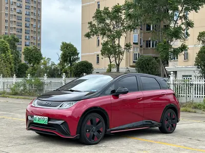 比亚迪 海豚 2023款 50万纪念版Plus thumbnail 1